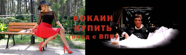 шишки Балахна