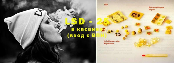 шишки Балахна