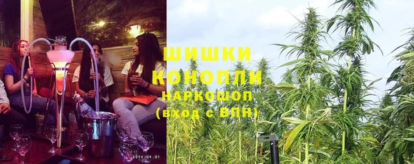 шишки Балахна