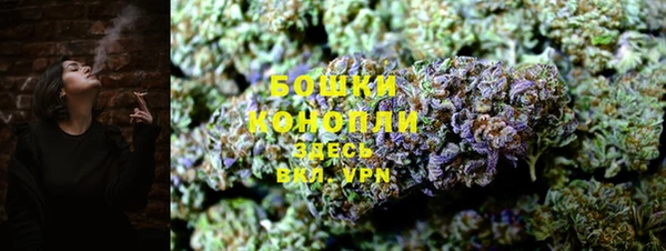 шишки Балахна